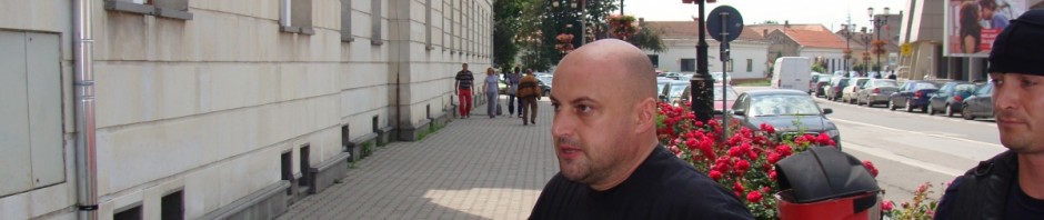 alin simota