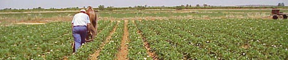 fermieri