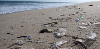 deşeuri de pe plaja din Năvodari