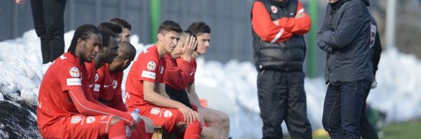 stoican dinamo