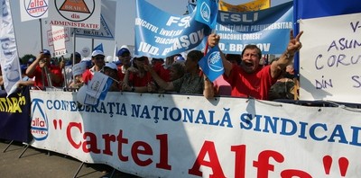 cartel alfa