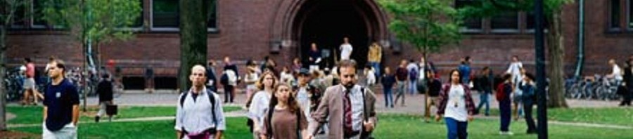 universitatea harvard