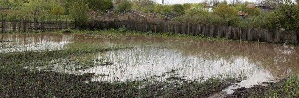 inundatii