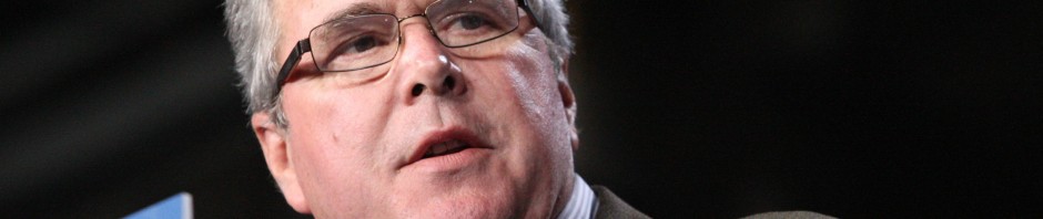 jeb bush