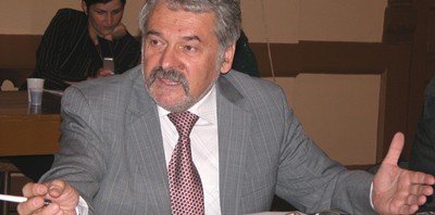 mircea molot