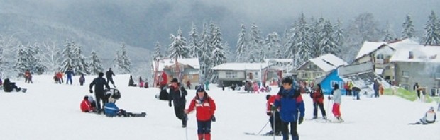 partii schi