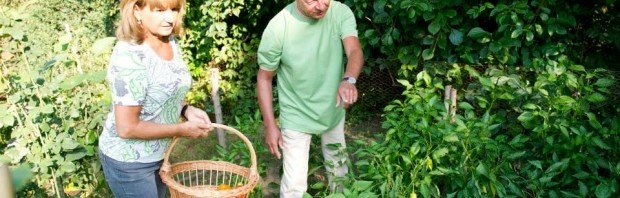 basescu sotie