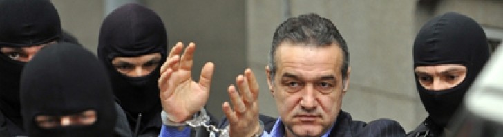 gigi becali catuse