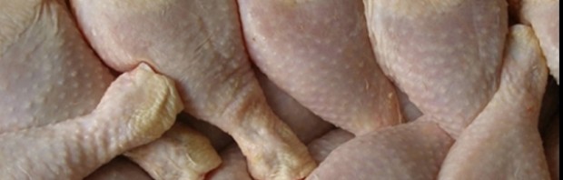 pulpe pui