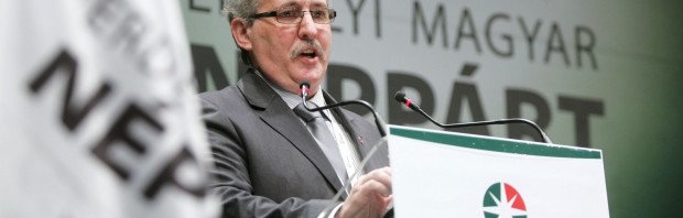 toro tibor
