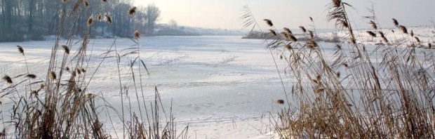 lac inghetat