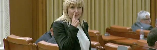 udrea parlament