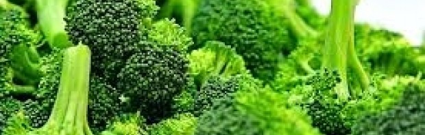 broccoli