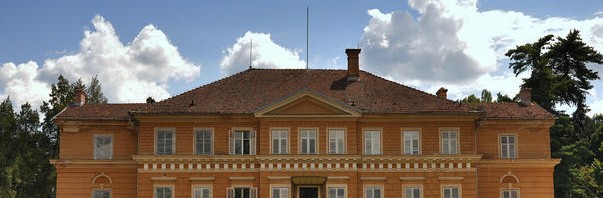 castelul-savarsin