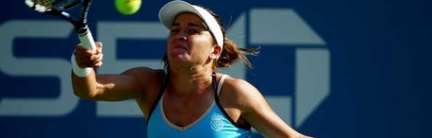 dulgheru