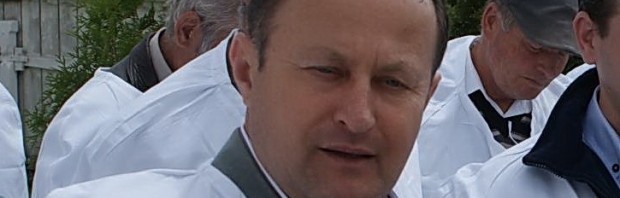 radu balau