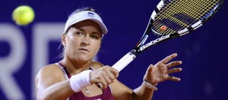 dulgheru