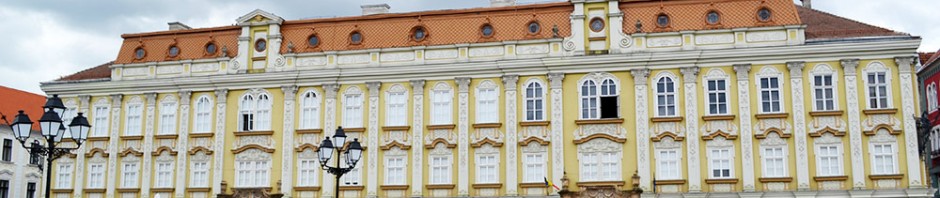 muzeu arta timisoara