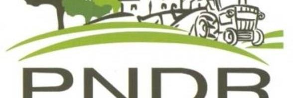 PNDR