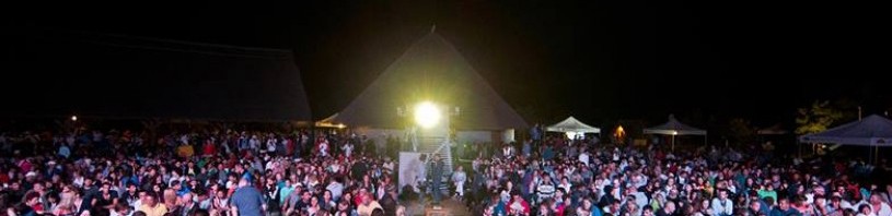 festivalul anonimul 2