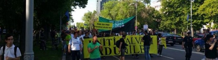 protest despaduriri abuzive