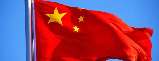 steag china