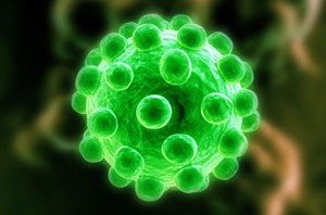 virus