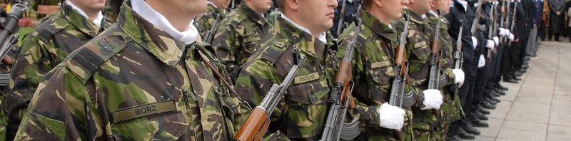 stagiu militar