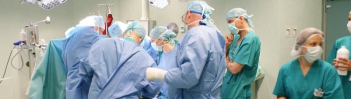 transplant renal