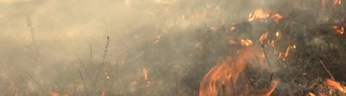 incendiu vegetatie