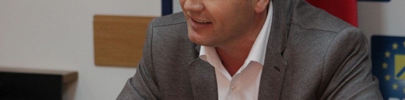 stelian dolha