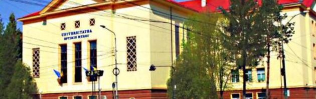 universitatea eftimie murgu