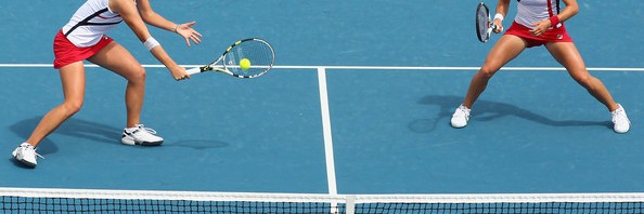 begu niculescu