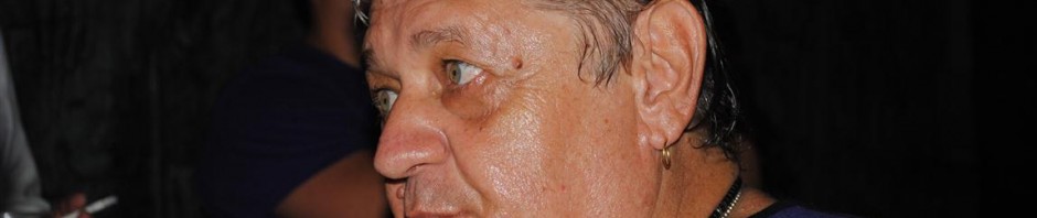 mircea vintila
