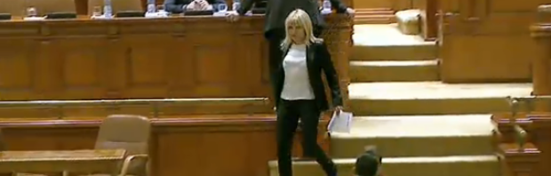 udrea parlament