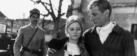 padurea-spanzuratilor