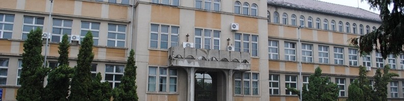 remin baia mare