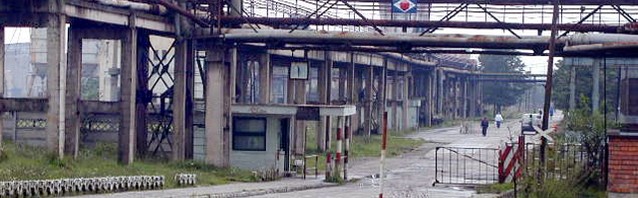 otelu rosu