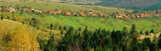 semenic