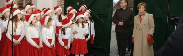 colindatori savarsin