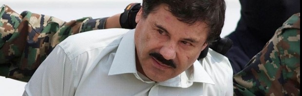 el chapo