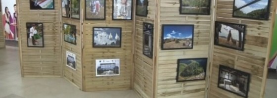 expozitie fotografie