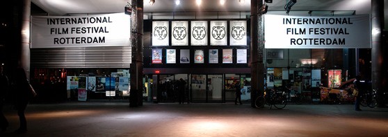festival film rotterdam