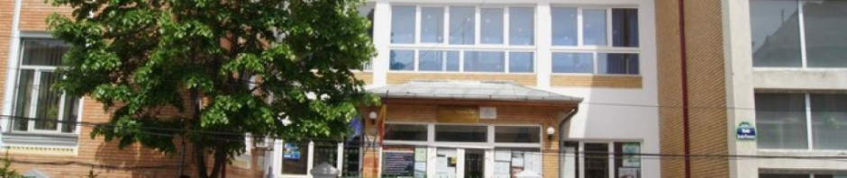 liceul vlahuta
