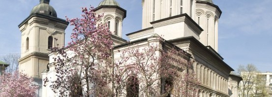 manastirea radu voda