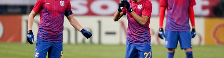 bourceanu pirvulescu