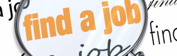 cauta job