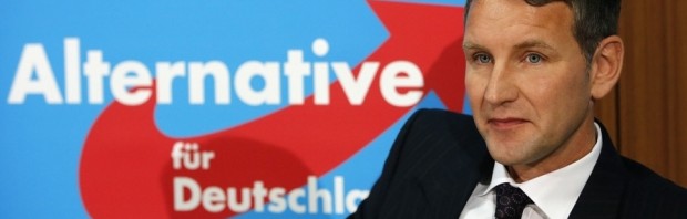 alternativa germania