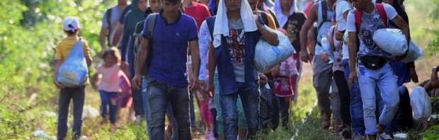 migranti