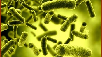 toxine